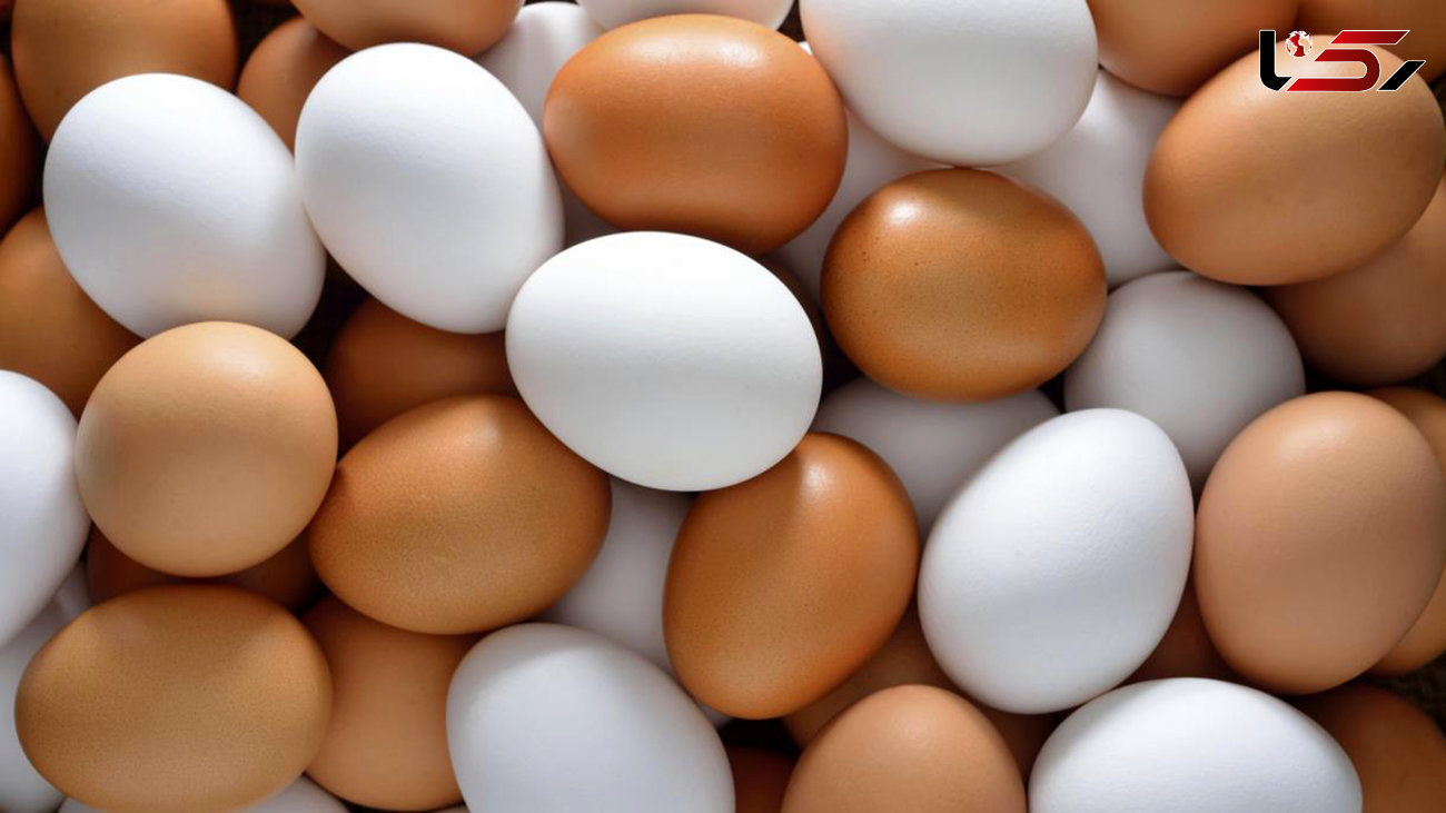 قیمت تخم مرغ در بازار امروز دوشنبه 17 شهریور 99 / جزئیات افزایش 48 درصدی
