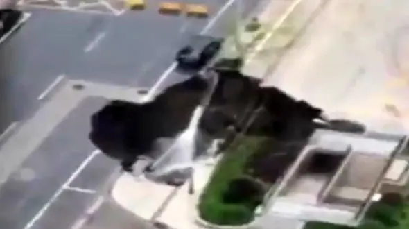 خیابانی که خودروها را خورد! + فیلم