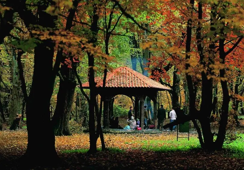 اجاره ویلا گرگان