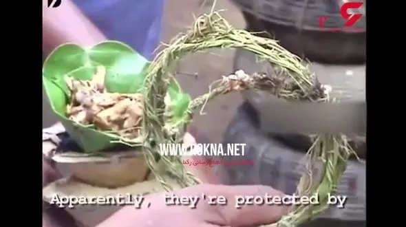 مسابقه عجیب و غریب در هند+فیلم