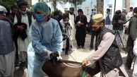 مقامات افغان ادعای شکنجه 50 مهاجر از سوی نیروهای مرزی ایران را تکذیب کردند 