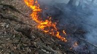 هشدار سازمان آتش نشانی رشت نسبت به ایمنی در برابر وزش باد گرم و آتش سوزی علفزارها 