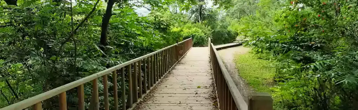 پارک ملی بوجاق، کیاشهر گیلان + فیلم