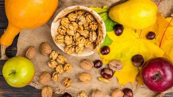 پاییز چه چیزی بخوریم که مغزمان کم نیاورد؟