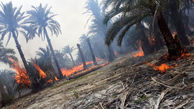 آتش سوزی در نهالستان شهرداری بجنورد
