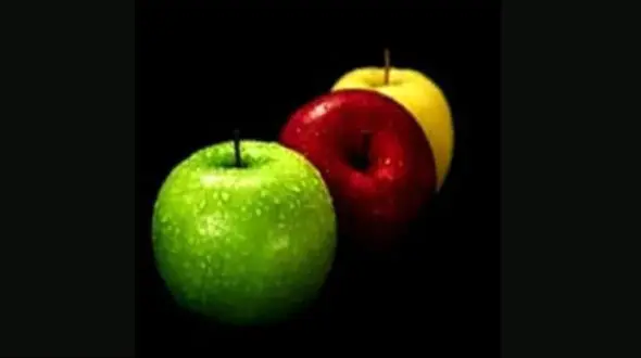 در نیمه دوم زندگی تان باید چه میوه هایی بخورید؟