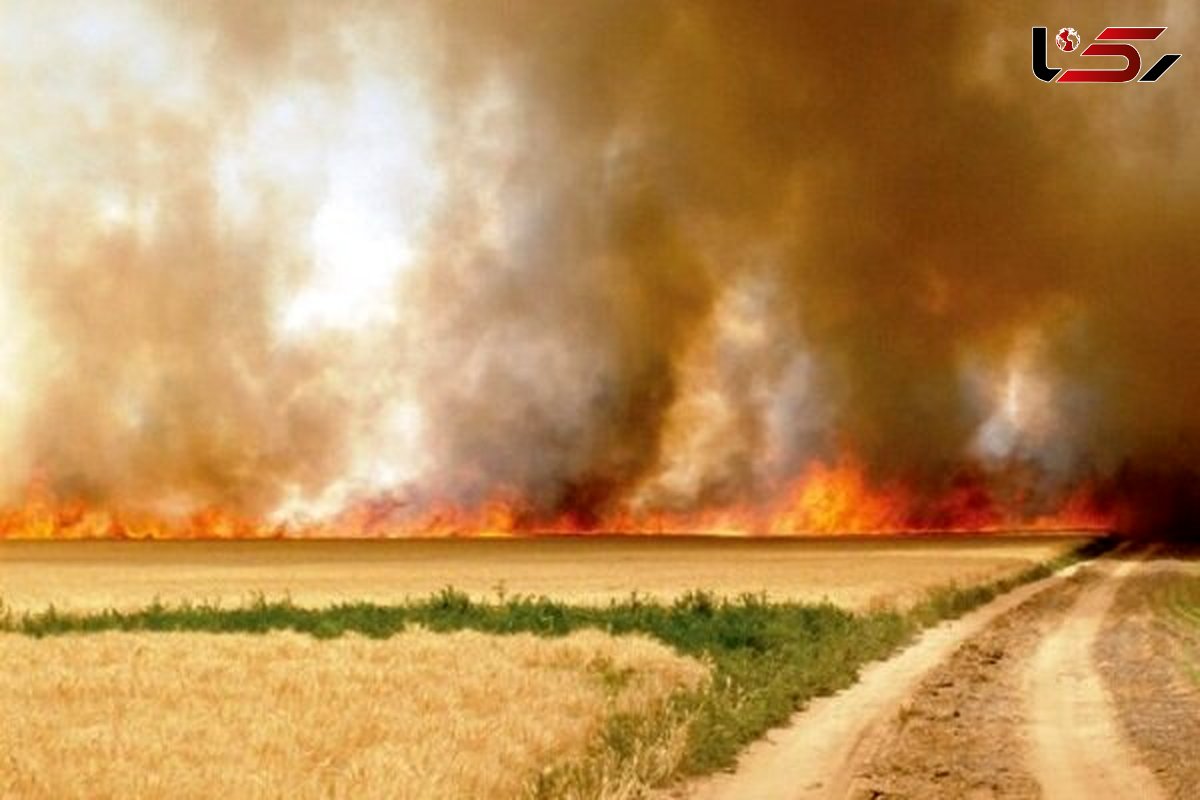 برخورد جدی با ۵ متخلف آتش زدن کاه و کلش در فومن