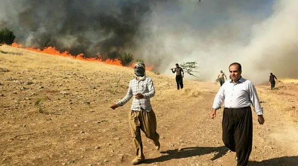 3 مصدوم در آتش سوزی های روانسر