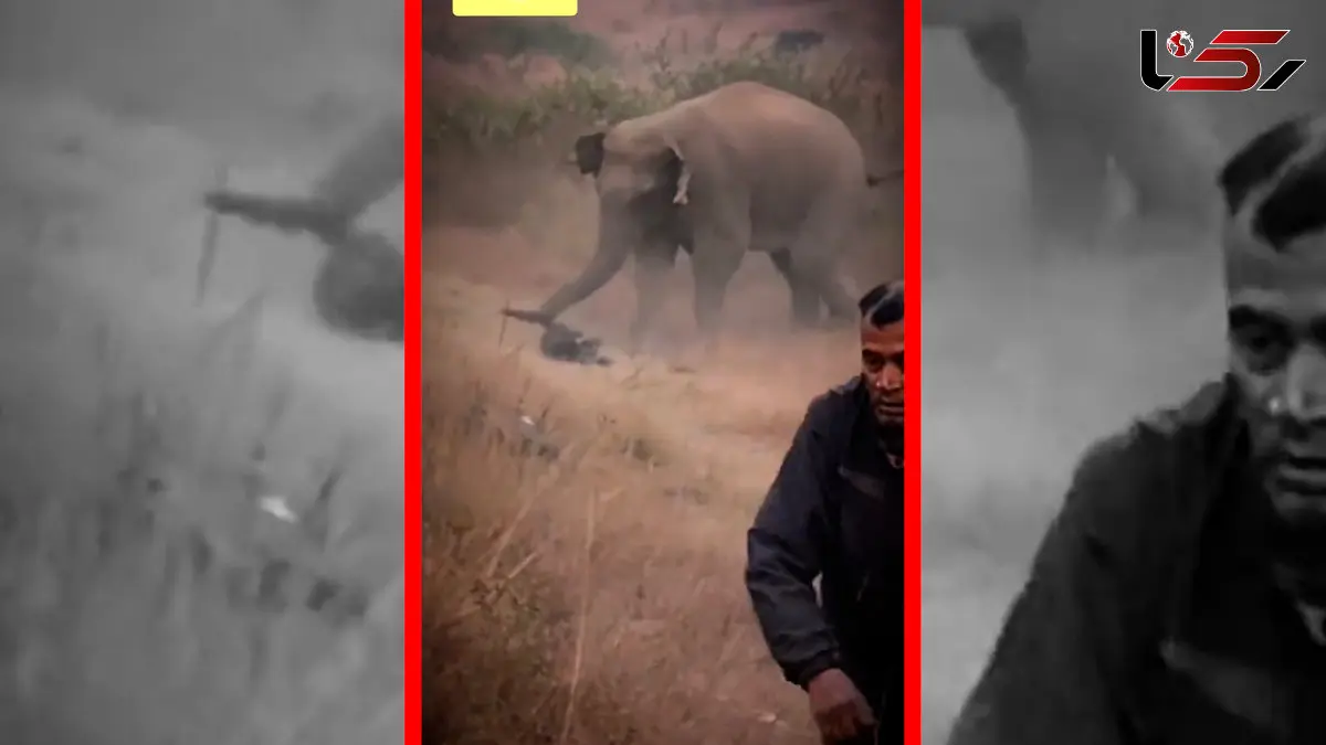 فیلم مرگ یک مرد زیر پای فیل خشمگین