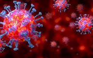  Mysteriously Hidden 'Gene- Within-Gene' Discovered in SARS-Cov-2 Coronavirus 