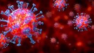 Mysteriously Hidden 'Gene- Within-Gene' Discovered in SARS-Cov-2 Coronavirus 