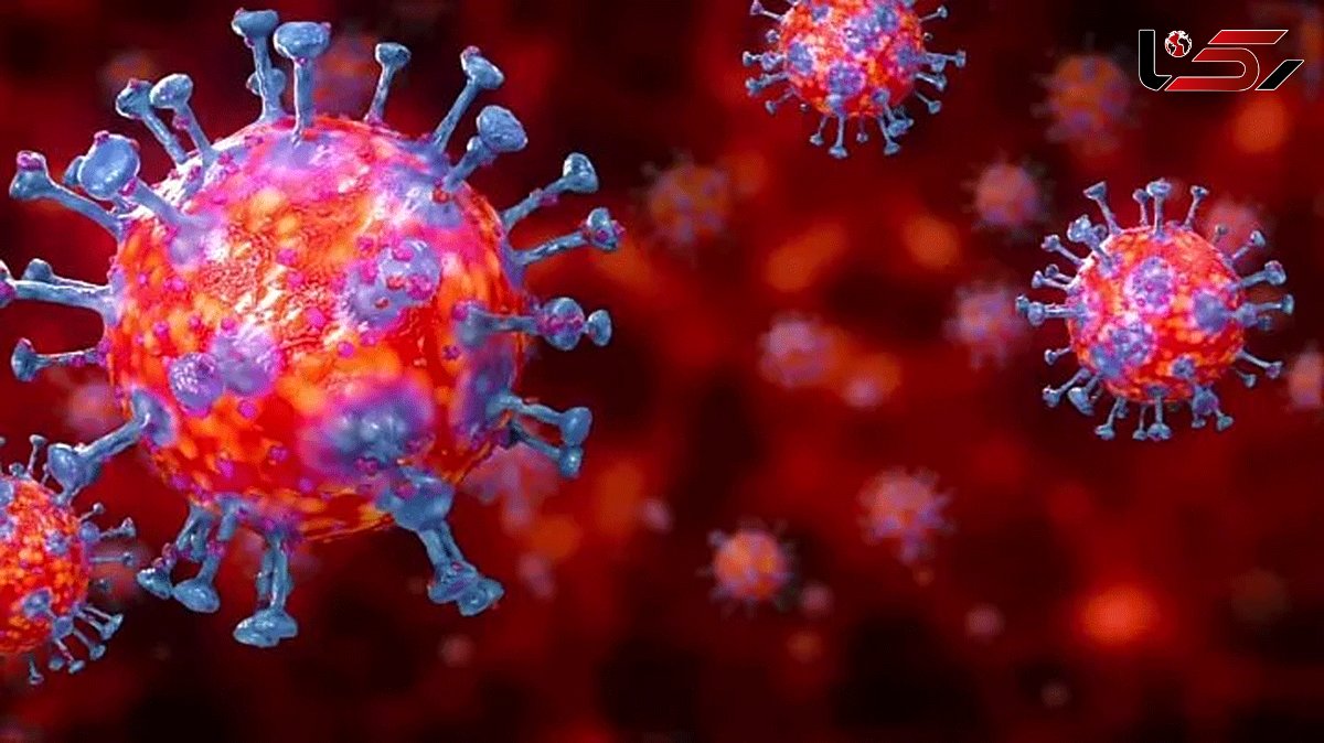  Mysteriously Hidden 'Gene- Within-Gene' Discovered in SARS-Cov-2 Coronavirus 