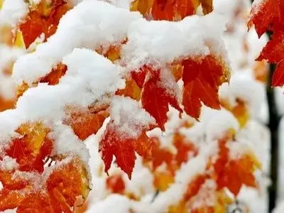 صفر تا صد بارش برف و باران در 23 استان، هشدار نارنجی در 17 استان / زمستان 1404 در انتظار پیش‌بینی‌های شوکه‌کننده