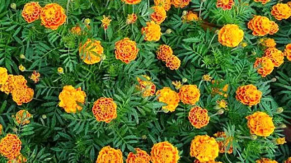 فال ابجد امروز / 8 آذر ماه + فیلم 