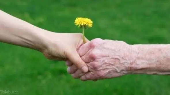 ورزش های ضروری برای افراد سالمند