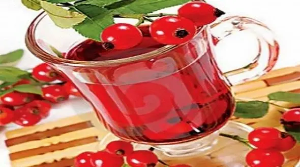 گیاهی که سنگ کلیه را ضربه فنی می کند