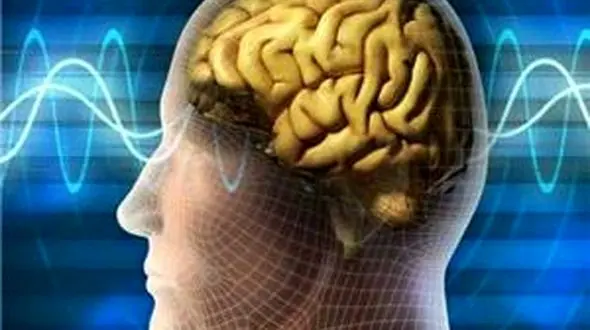 عادت های مخرب برای نابودی مغز