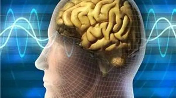 عادت های مخرب برای نابودی مغز