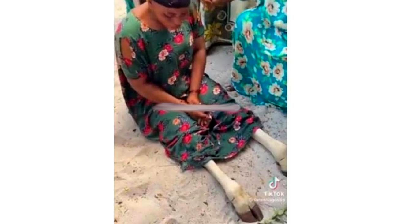 جفت گیری اسب با زن