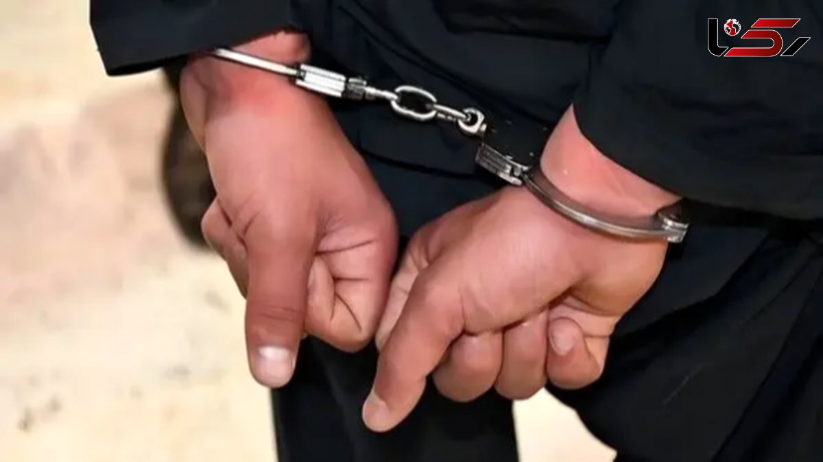 باجگیر فضای مجازی هنگام خروج از کشور به دام افتاد