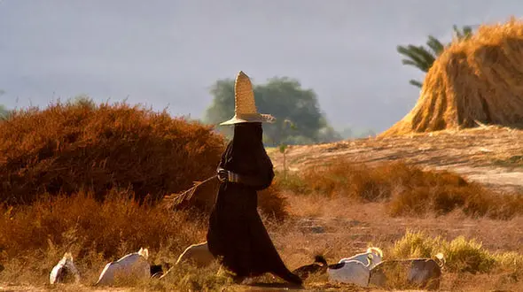 زنان عجیب در این بیابان‌ها چه می کنند؟+ تصاویر
