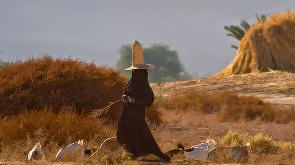 زنان عجیب در این بیابان‌ها چه می کنند؟+ تصاویر
