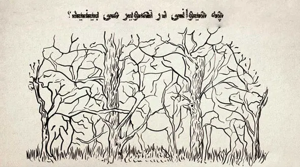 چه حیوانی در تصویر می بینید؟ / تست شخصیت شناسی !