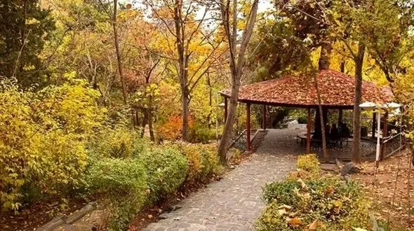 پاییزگردی در تهران؛ پارک‌ های محبوب از لویزان تا پردیسان