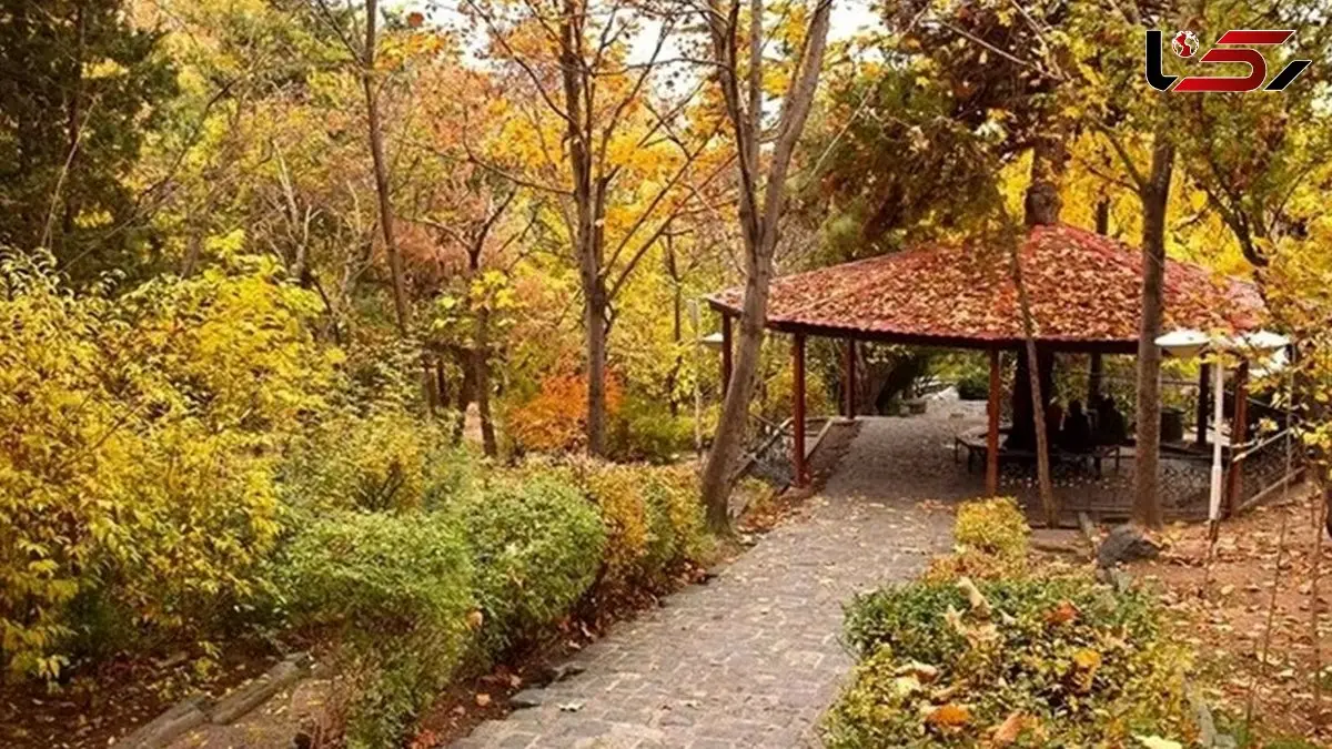 پاییزگردی در تهران؛ پارک‌ های محبوب از لویزان تا پردیسان