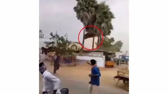 فیلم عجیب از طوفان / واقعا خطر مرگ از بیخ گوش این 2 مرد گذشت / ببینید