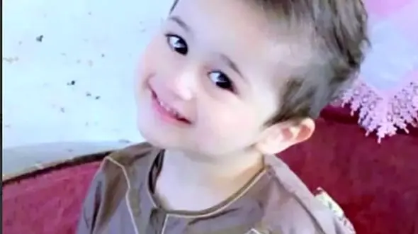 مرگ دلخراش پسربچه بر اثر حمله سگ های گرسنه