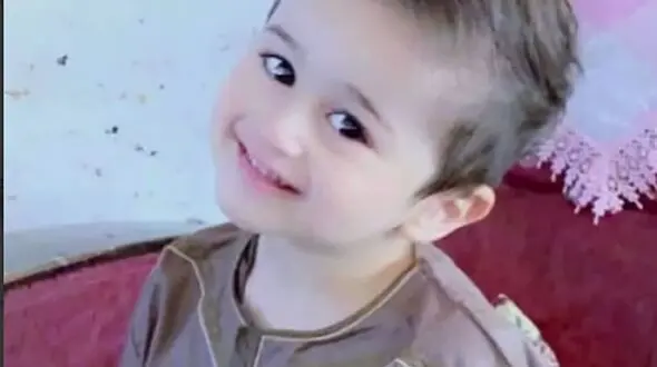 مرگ دلخراش پسربچه بر اثر حمله سگ های گرسنه
