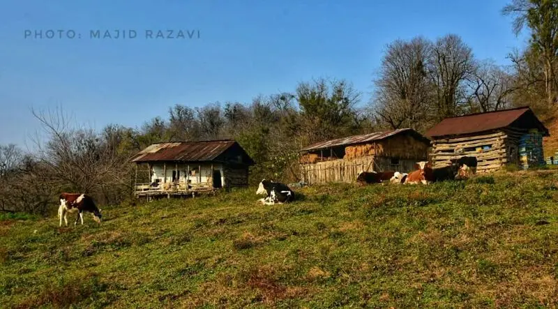 IMG-20211212-WA0053