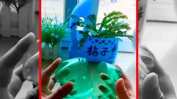 فیلم ساخت گلدان فلفل دلمه ای با بطری بازیافتی