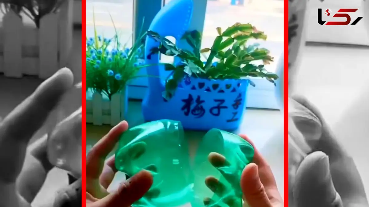 فیلم ساخت گلدان فلفل دلمه ای با بطری بازیافتی