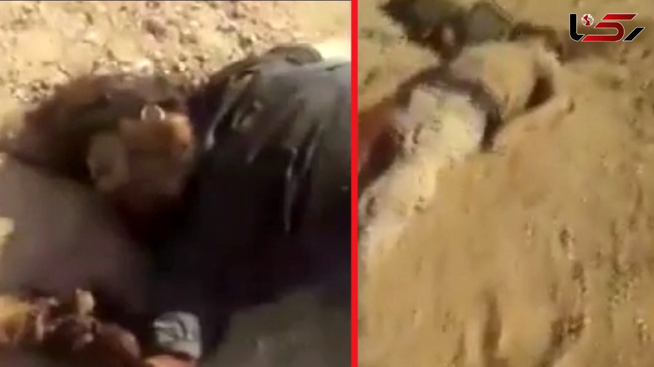 اجساد زشت داعشی‌ها در رقه را ببینید+ فیلم(16+)