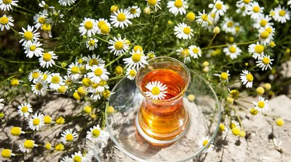 با دمنوش بابونه به خواب راحت و پوست شفاف دست پیدا کنید