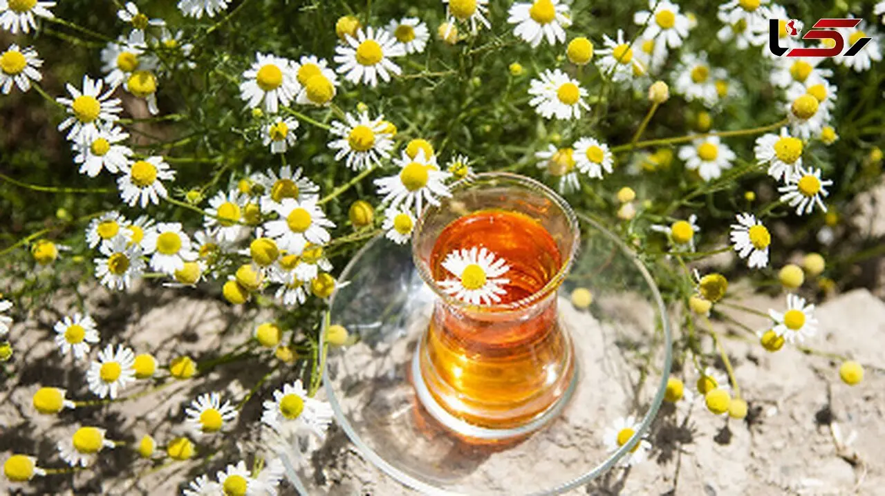 با دمنوش بابونه به خواب راحت و پوست شفاف دست پیدا کنید