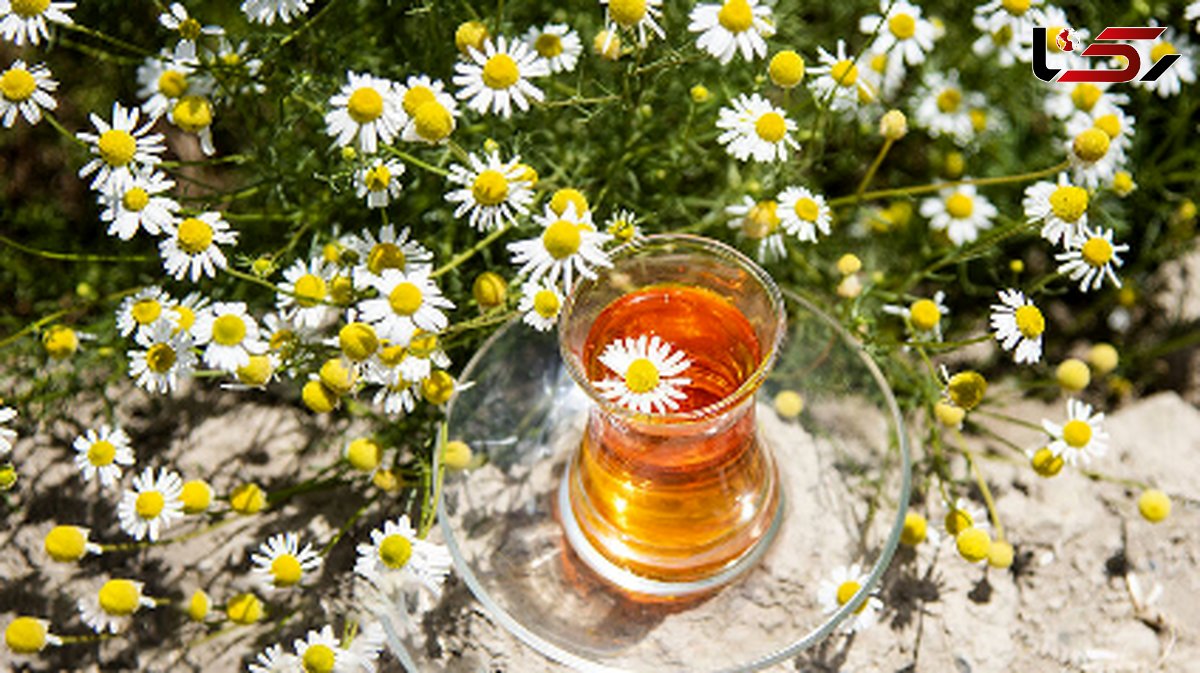  با دمنوش بابونه به خواب راحت و پوست شفاف دست پیدا کنید 