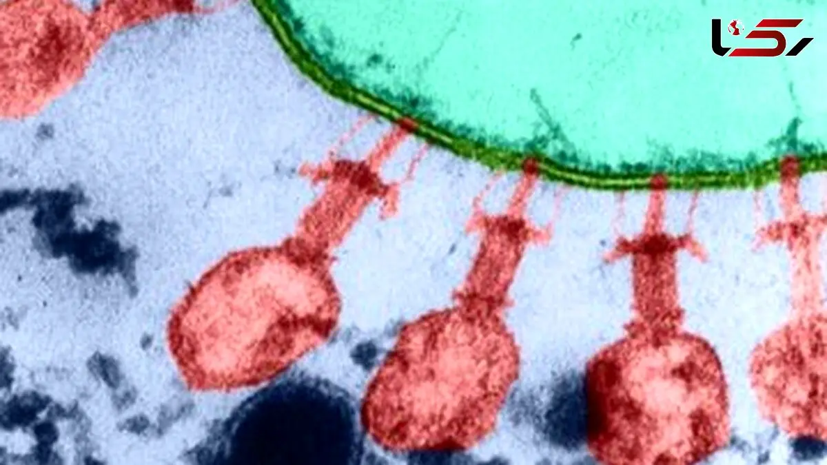 شیوع ویروس جدید در قم! / واکنش رئیس دانشگاه علوم پزشکی