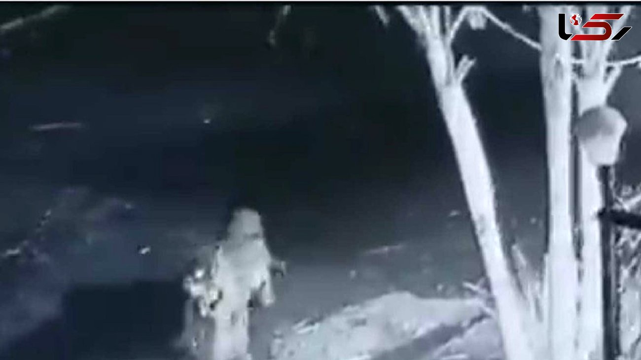 حمله پلنگ به سگ خانگی در بهارخواب یک خانه! + فیلم