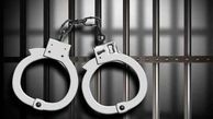 دستگیری حفاران غیرمجاز در شهرستان جغتای/ آن‌ها ۲۰ شب حفاری کردند