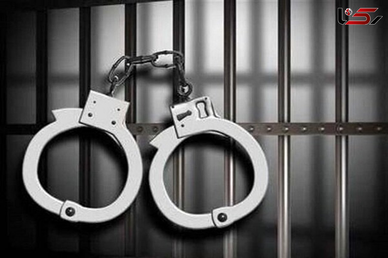 دستگیری حفاران غیرمجاز در شهرستان جغتای/ آن‌ها ۲۰ شب حفاری کردند
