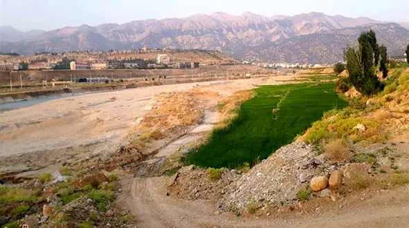 شناسایی 15 زمین خوار حرفه ای در یزد