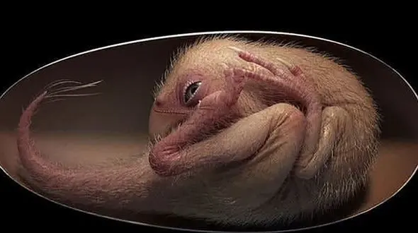 عجیب ترین کشف از جنین دایناسور + عکس