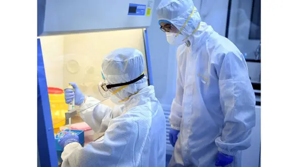 ژاپن ویروس کرونا را در آزمایشگاه ساخت