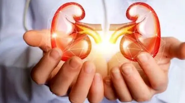 نوشیدنی‌ های سالم برای درمان سریع سنگ کلیه