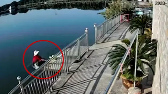 فیلم لحظه نجات یک زن از مرگ در دریاچه تفریحی