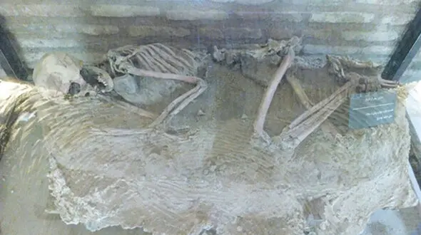 نمایش اسکلت 5500 ساله در موزه باستان‌شناسی نیشابور

