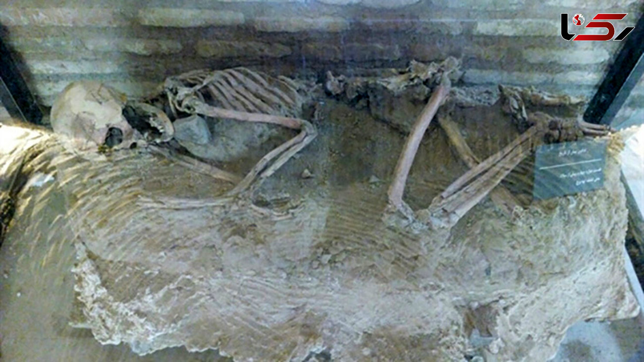 نمایش اسکلت 5500 ساله در موزه باستان‌شناسی نیشابور
